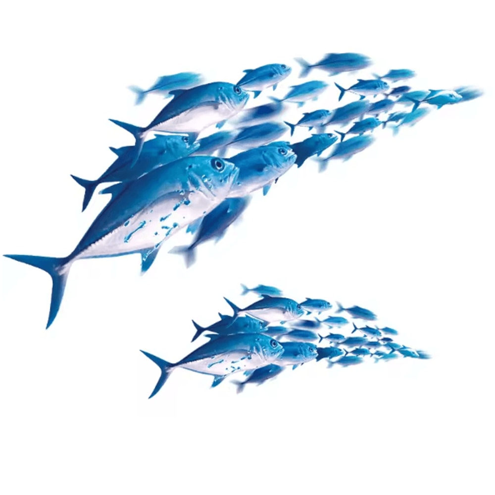 3D Underwater Fish Wall Stickers Colorful Removable Ocean Decals For Kids Room Decor 4