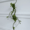 Artificial Rattan Vine Branches Hanging Rustic Wall Decor For Weddings Home Styling 4