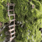 Mini Wooden Fairy Bridge Rope Ladder Whimsical Garden Decor For Mini Landscapes Photography 3