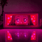 Demon Slayer Tanjiro LED Light Box 3D Anime Night Lamp For Bedroom Desk Decor 15