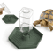 Automatic Turtle Water Bowl Feeder AntiSlip Reptile Water Dispenser For Vivariums 0