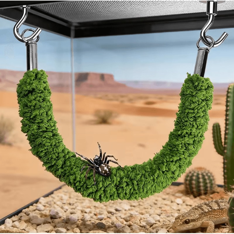 Natural Wood Jumping Spider Bridge Climbing Ladder For Terrariums And Small Pet Enclosures 2