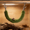 Natural Wood Jumping Spider Bridge Climbing Ladder For Terrariums And Small Pet Enclosures 3