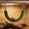 Natural Wood Jumping Spider Bridge Climbing Ladder For Terrariums And Small Pet Enclosures 3