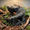 Natural Resin Turtle Basking Platform And Reptile Hiding Cave For Aquariums And Terrariums 1