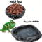 Realistic Stone Like Reptile Feeding And Water Bowl For Bearded Dragons And Small Reptiles 1