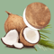 Natural Coconut Reptile Hide Cave For Turtles Lizards And Aquarium Habitats 2