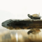 Creative Reptile Basking Platform And Resin Rest Cave For Turtle And Terrarium Habitats 0