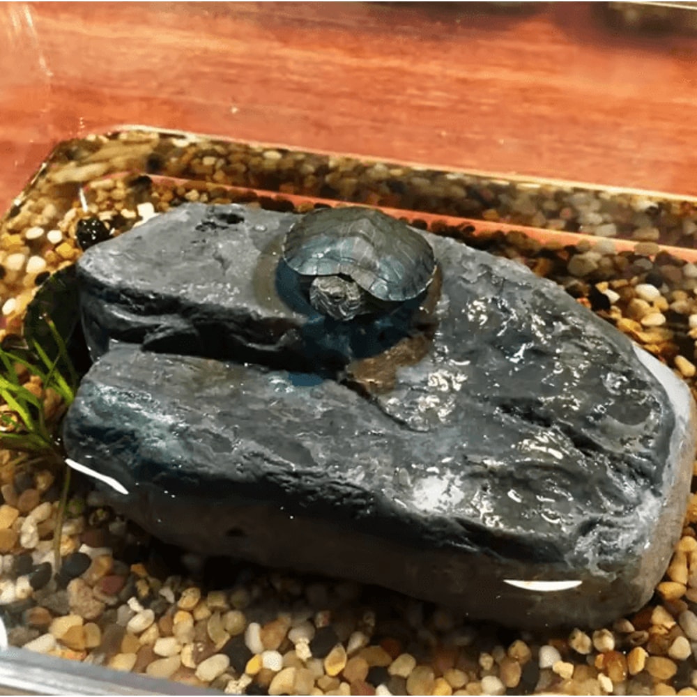 Creative Reptile Basking Platform And Resin Rest Cave For Turtle And Terrarium Habitats 2