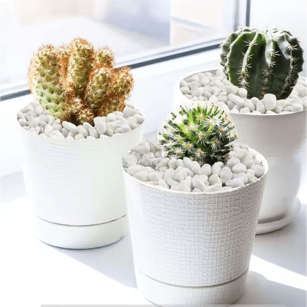 Natural Decorative Cobblestone Pebbles For Succulent Bonsai Fish Tank And Home Garden Decor 1