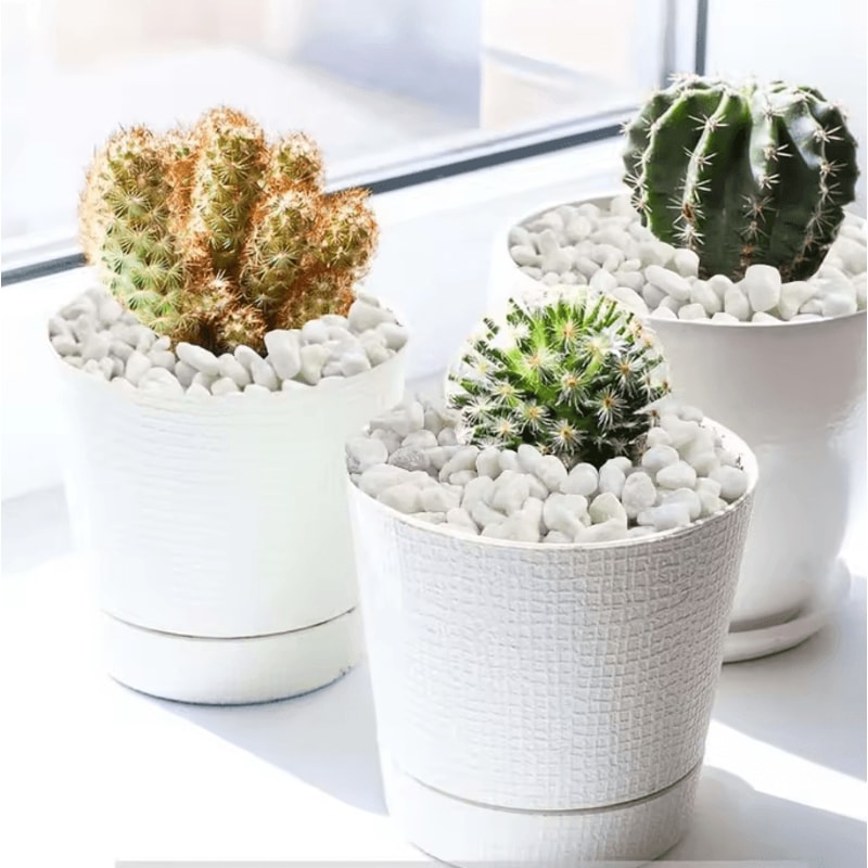 Natural Decorative Cobblestone Pebbles For Succulent Bonsai Fish Tank And Home Garden Decor 1