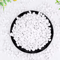 Natural Decorative Cobblestone Pebbles For Succulent Bonsai Fish Tank And Home Garden Decor 2