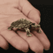 Antique Brass Turtle Ornament For Wealth Longevity And Desktop Decor 4