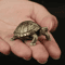 Antique Brass Turtle Ornament For Wealth Longevity And Desktop Decor 5