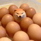 Funny Shiba Inu Egg Figurine For Desk Decor And Creative Home Decoration 0