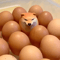 Funny Shiba Inu Egg Figurine For Desk Decor And Creative Home Decoration 0