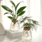 Glass Hydroponic Plant Propagation Station For Desktop And Home Decor 1