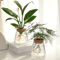 Glass Hydroponic Plant Propagation Station For Desktop And Home Decor 1