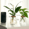 Glass Hydroponic Plant Propagation Station For Desktop And Home Decor 4