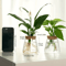 Glass Hydroponic Plant Propagation Station For Desktop And Home Decor 4