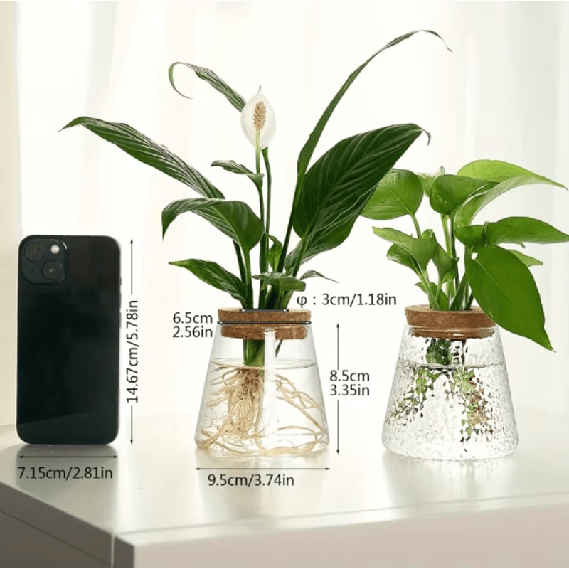 Glass Hydroponic Plant Propagation Station For Desktop And Home Decor 4