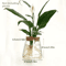 Glass Hydroponic Plant Propagation Station For Desktop And Home Decor 6