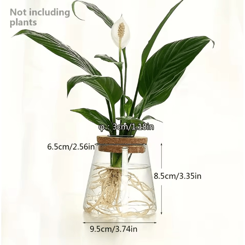 Glass Hydroponic Plant Propagation Station For Desktop And Home Decor 6