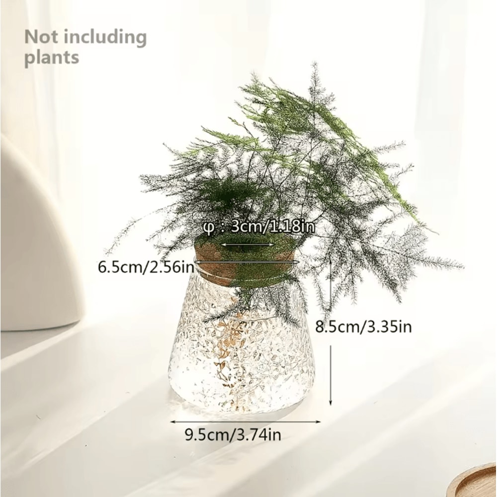 Glass Hydroponic Plant Propagation Station For Desktop And Home Decor 5