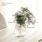 Glass Hydroponic Plant Propagation Station For Desktop And Home Decor 5