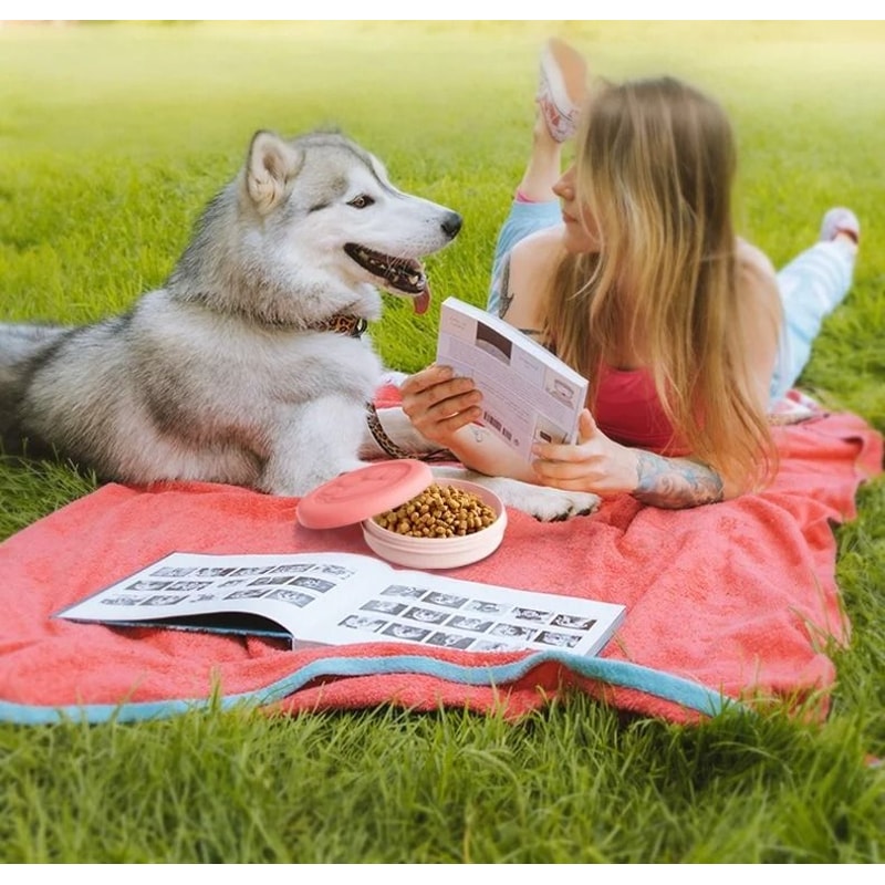 Portable Travel Pet Food And Water Bowl 3