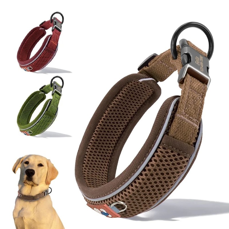 Personalized Reflective Mesh Dog Collar 0