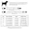 Personalized Reflective Mesh Dog Collar 5