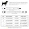 Personalized Reflective Mesh Dog Collar 5