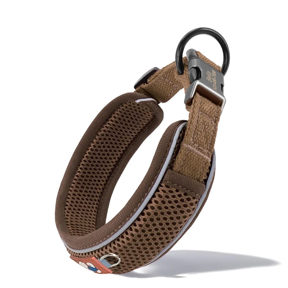 Personalized Reflective Mesh Dog Collar 6