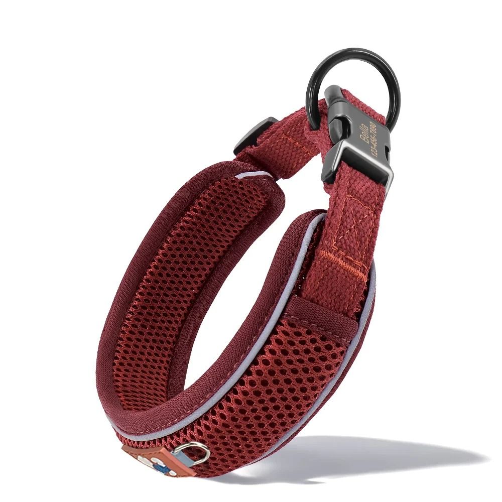Personalized Reflective Mesh Dog Collar 7