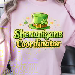 shenanigans coordinator shirt, funny t-shirt, mischief maker tee