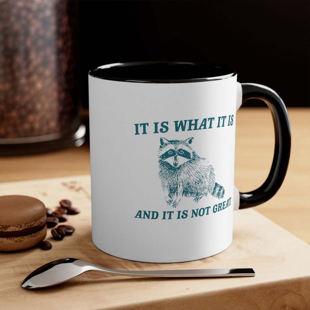 It Is What It Is Mug Funny Raccoon Coffee Cup Sarcastic Animal Humor Mug Cute Gift 1