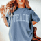 Comfort Colors Teach Shirt Teacher Tee Back To School Shirt Teacher Appreciation Gift 5