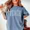 Comfort Colors Teach Shirt Teacher Tee Back To School Shirt Teacher Appreciation Gift 5