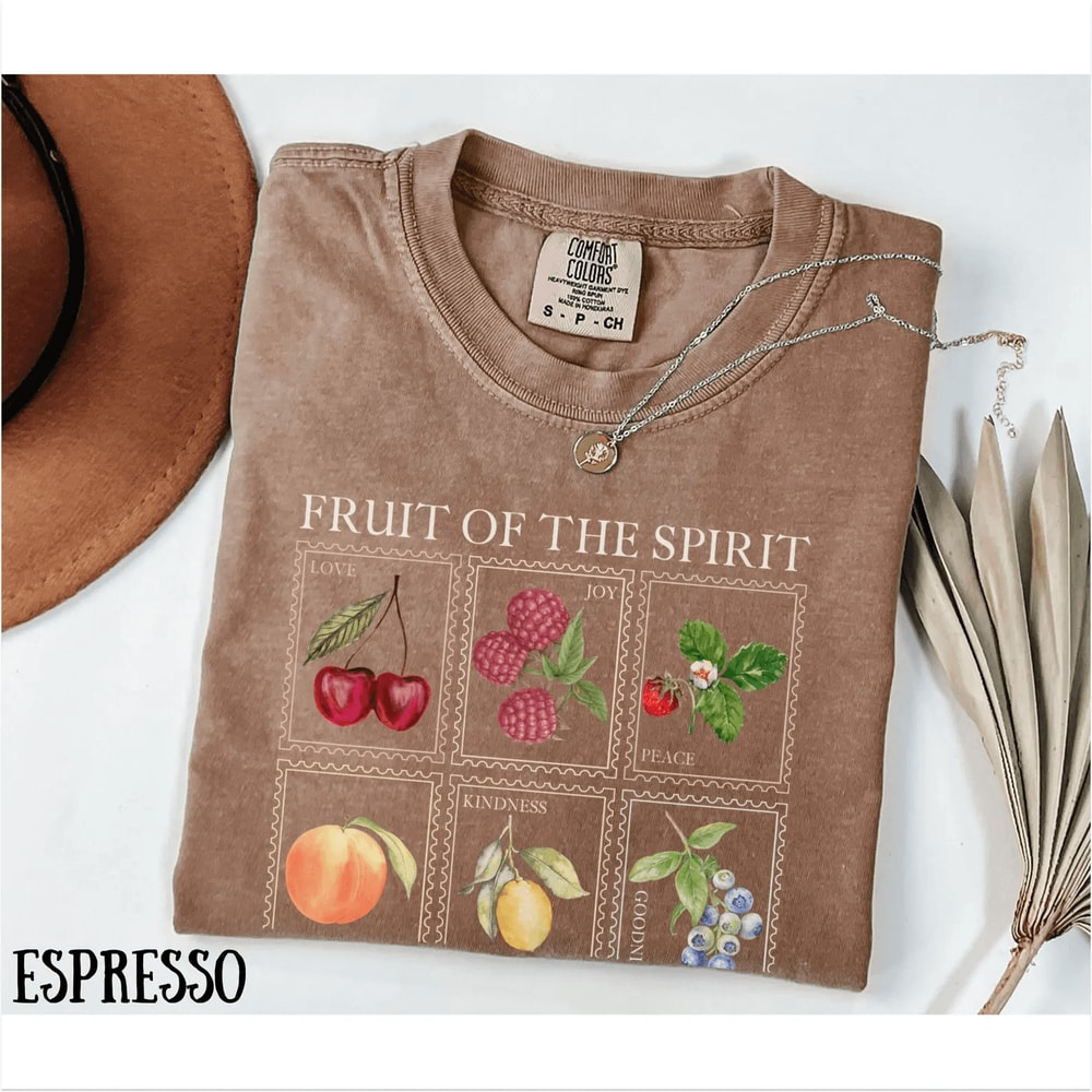 Fruits Of The Spirit Shirt Comfort Colors Christian Tee Faith Based Boho Jesus Shirt 2