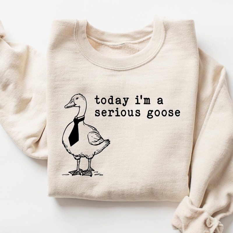 Im A Serious Goose Sweatshirt Goose Shirt Funny Sweatshirt Vintage Retro Graphic Shirt Sarcastic Sw 4