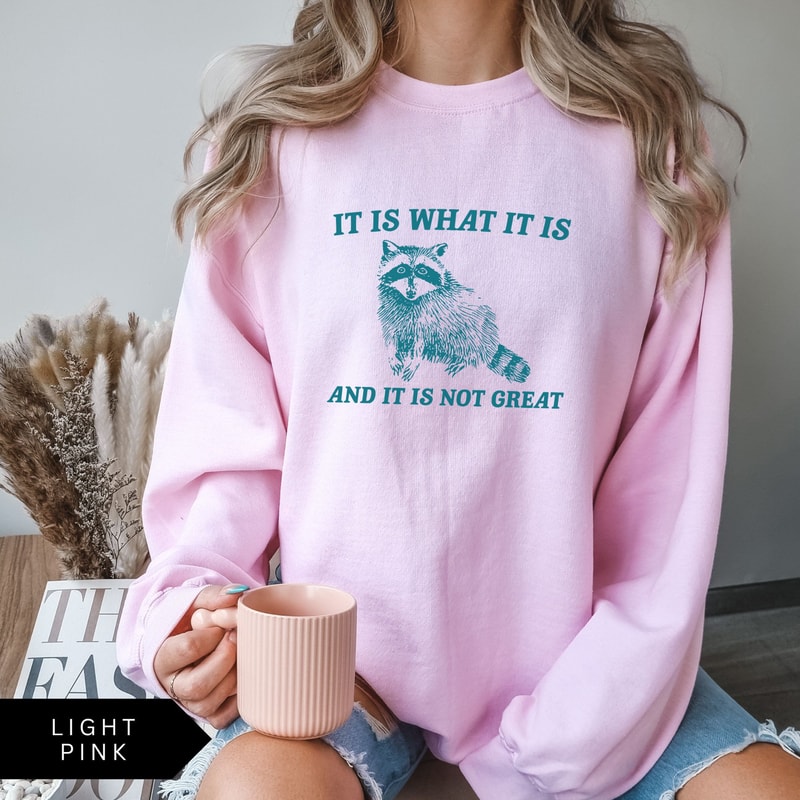 It Is What It Is Shirt Funny Raccoon Meme Graphic Tee Sarcastic Humor Aesthetic TShirt 3