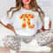 Comfort Colors Pi Shirt Pizza Pi Day Math Teacher Tee Funny Math Lover STEM Graphic Shirt 2