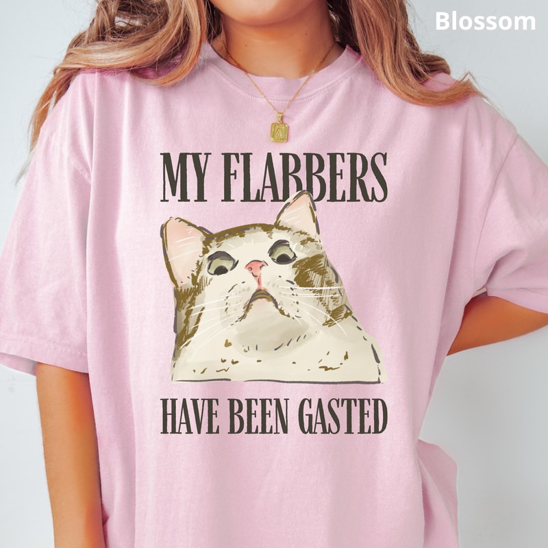 My Flabbers Have Been Gasted Funny Cat Shirt 100 Cotton Sarcastic Animal Humor Tee 3
