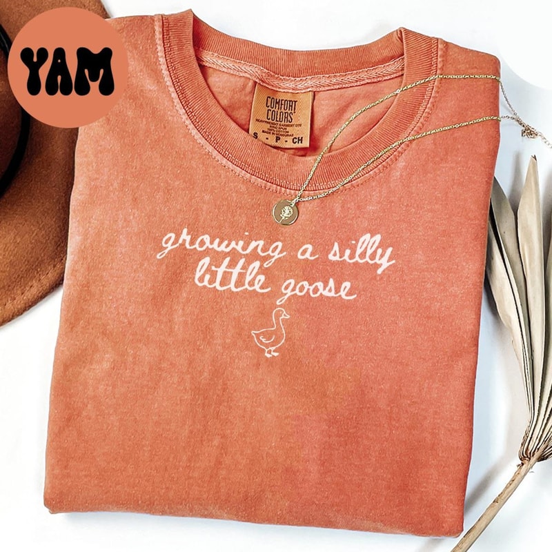 Pregnancy Announcement Shirt Goose First Baby TShirt Pregnant Baby Reveal Tee Mothers Day Gift Goin 3