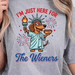wiener dog 4th of july patriotic graphic tee