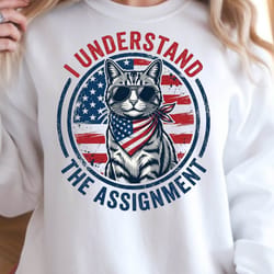patriotic cat 4th of july graphic tee
