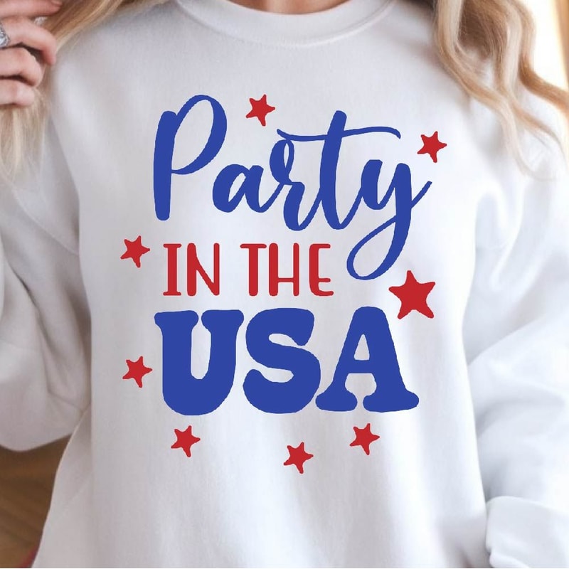 Party In The USA 4th Of July Patriotic Graphic Tee 2