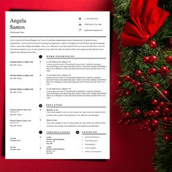 DIY resume template within minutes, professional stand-out resume template, Microsoft word and Mac pages editable resume
