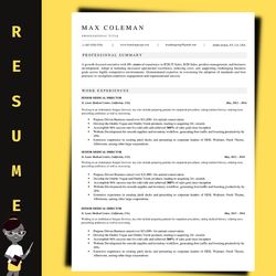 Professional resume update template, word resume template, ATS resume template
